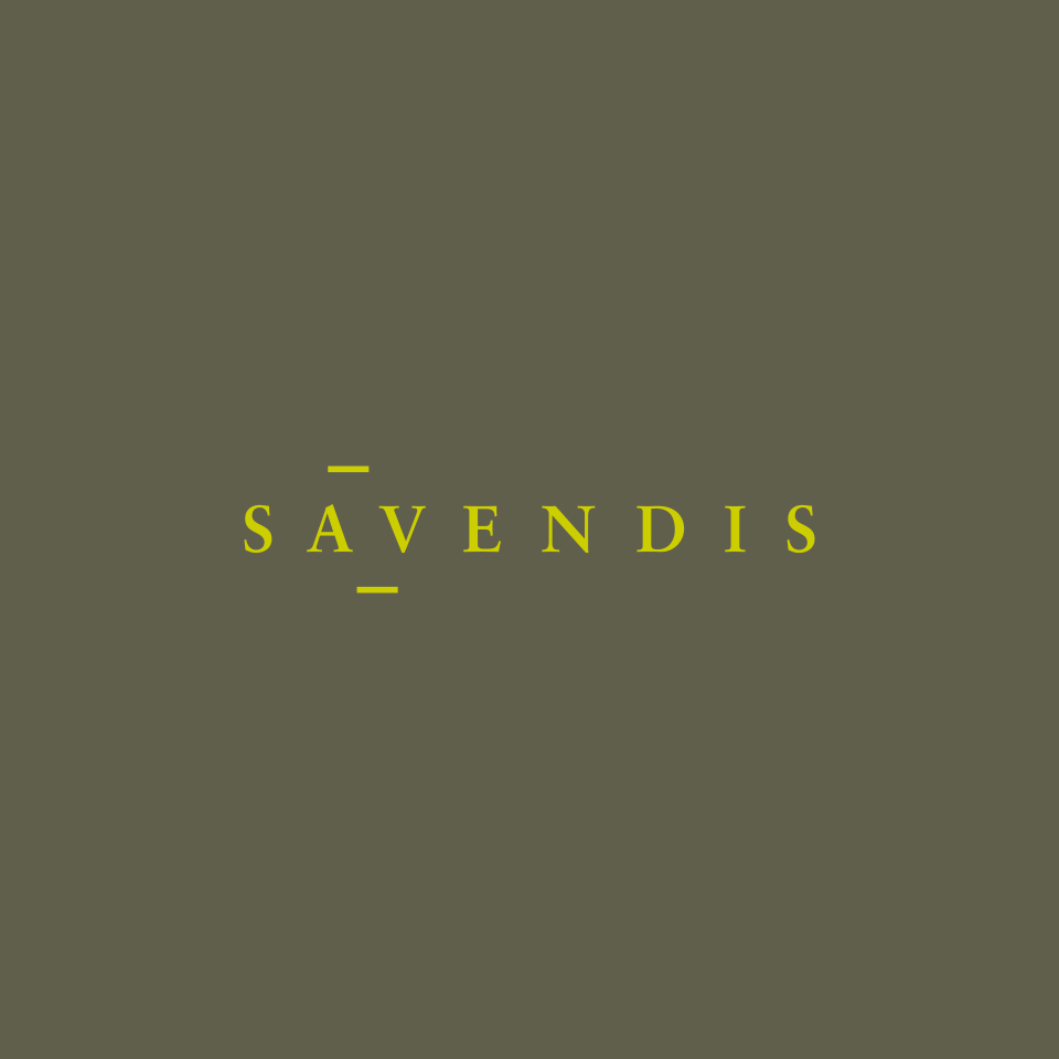 savendis_web_02