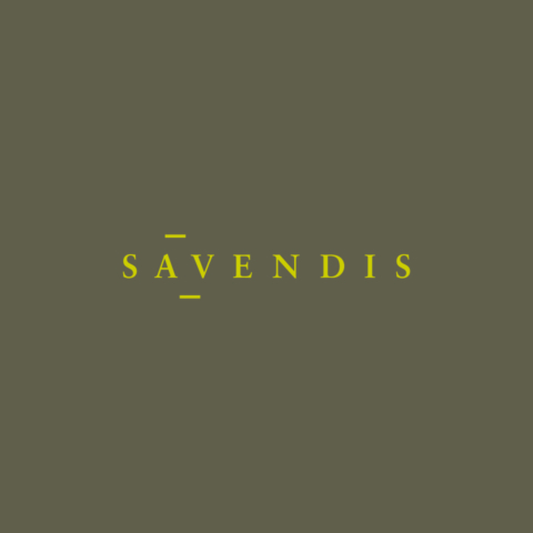 savendis_web_02